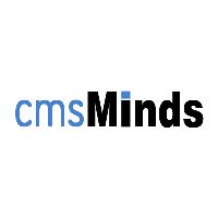 cmsMinds image 6