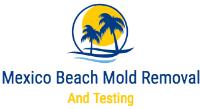 Mexico Beach Mold Removal and Testing image 1