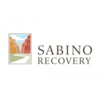 Sabino Recovery image 1