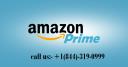 Toll-Free 844319099 | Amazon prime phone number  logo