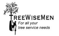 Treewisemen image 1