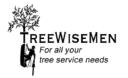 Treewisemen logo
