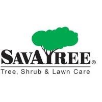 SavATree - Tree Service & Lawn Care image 1