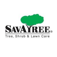 SavATree - Tree Service & Lawn Care image 1