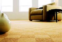 Kingsport Carpet Cleaning image 2