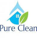 Pure clean logo