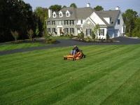 Thoroughbred Lawn and Services LLC image 1