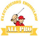 All Pro Electricians Enumclaw logo