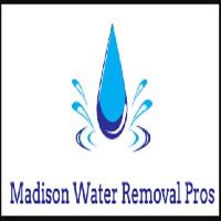 Madison Water Removal Pros image 1