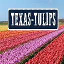 Texas-Tulips, LLC logo