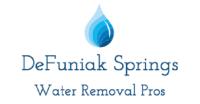 DeFuniak Springs Water Removal Pros image 1