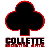Collette Martial Arts image 1