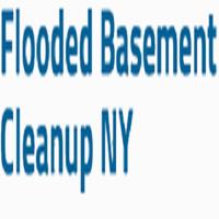 Long Island Flooded Basement Clean Up image 4