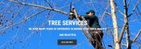 MY Tree Services Round Rock image 1
