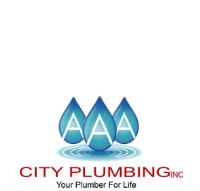 AAA City Plumbing image 1