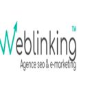 Weblinking.net logo