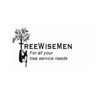 Treewisemen image 2