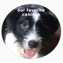 Our Favorite Canines logo