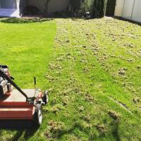 Spokane’s Finest Lawns And Lawn Care image 4