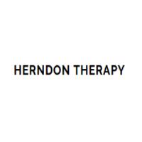 Herndon Therapy image 1