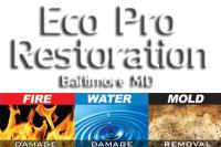Eco Pro Restoration image 11