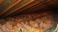 ATTIC Space Cleanup image 2