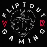 Fliptout Gaming image 4