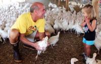 Dipaola Turkey Farms image 4
