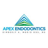 Apex Endodontics image 2