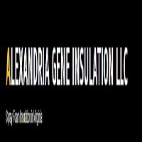 Alexandria Gene Spray Foam Insulation image 12
