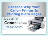 Canon Printer Support Number 1800-436-0509 image 1