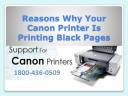Canon Printer Support Number 1800-436-0509 logo