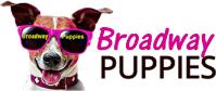 Broadway Puppies image 1