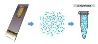 oligonucleotide synthesis image 1