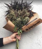 The Lodge Cannabis image 3