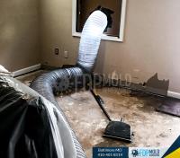 FDP Mold Remediation of Baltimore image 8