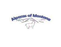 alpacas montana image 1