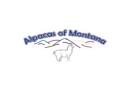 alpacas montana logo