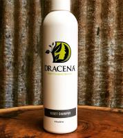 Dracena Plant-Powered Beauty image 10