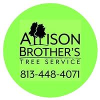 Allison Brother's Tree Service image 1