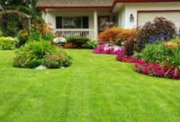 Overland Park Lawn Care image 3