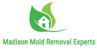Madison Mold Removal Experts image 1