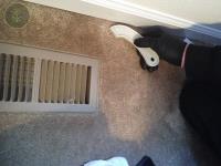 Carpet Cleaning Perry Hall MD image 6