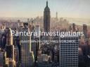 Pantera Investigations LLC logo