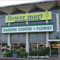 Flower Mart By Sunrise image 1