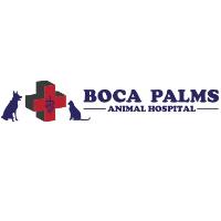 Boca Palms Animal Hospital image 4