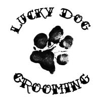 Lucky Dog Grooming image 4