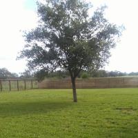 Hernandez Landscaping image 1