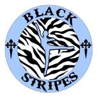 Black Stripes Dance Studio image 1