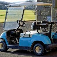 Currie Golf Carts image 1